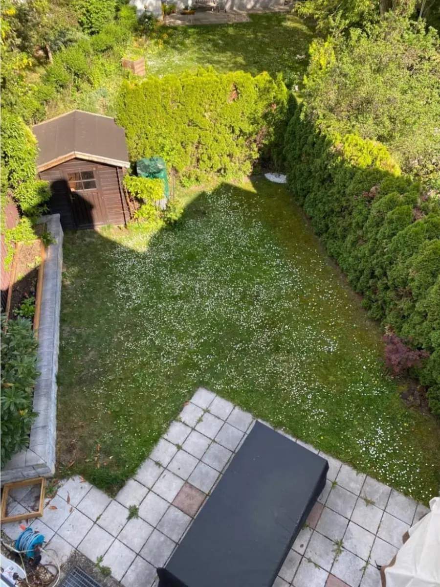 Garten vorher: Rasenfläche mit Gänseblümchen, Holzhütte und alte Steinplatten